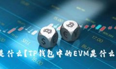 是什么？TP钱包中的EVM是什么？