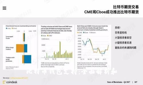 比特币钱包支持：全面解析和