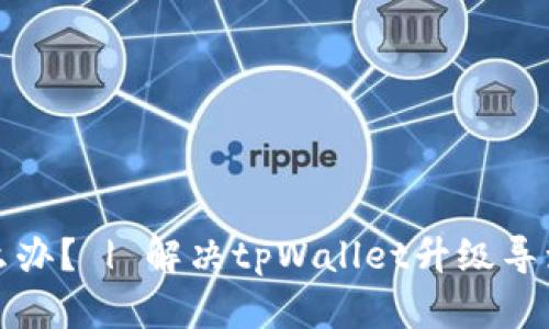 tpWallet升级了怎么办？ | 解决tpWallet升级导致问题的方法和建议