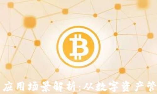 
区块链钱包的应用场景解析：从数字资产管理到跨境支付