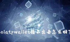 bolatpwallet转不出去怎么回