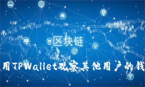 如何使用TPWallet观察其他用户的钱包状态