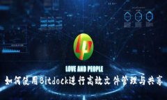 如何使用Bitdock进行高效文