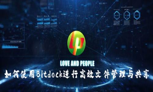 如何使用Bitdock进行高效文件管理与共享