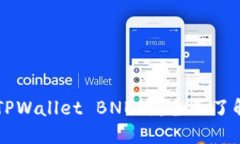 ### TPWallet BNB链：全面了解