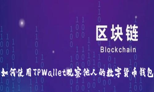 如何使用TPWallet观察他人的数字货币钱包