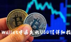  如何找回TP Wallet中丢失的USDT？详细指南与解决方