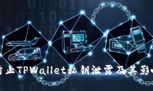 如何防止TPWallet私钥泄露及其影响解析