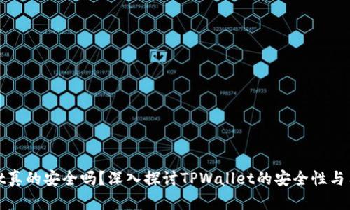 TPWallet真的安全吗？深入探讨TPWallet的安全性与用户体验