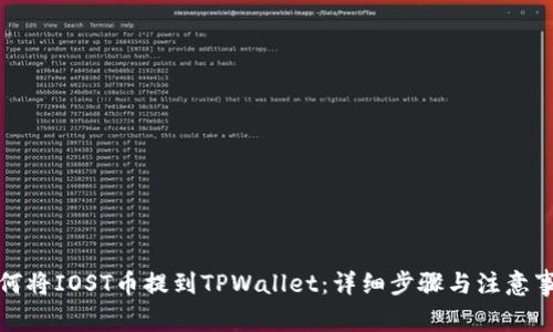 如何将IOST币提到TPWallet：详细步骤与注意事项