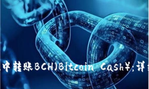 如何在TP Wallet中转账BCH（Bitcoin Cash）：详细步骤与注意事项