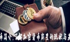 Pi币简介：了解加密货币新星的现状与未来