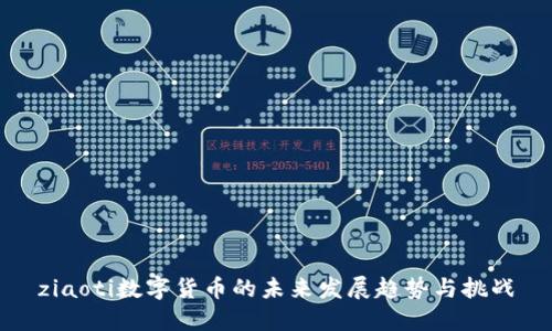 ziaoti数字货币的未来发展趋势与挑战