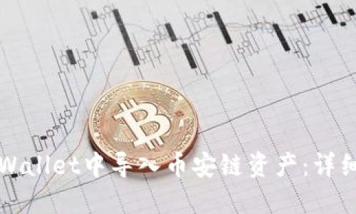 如何在TPWallet中导入币安链资产：详细步骤指南