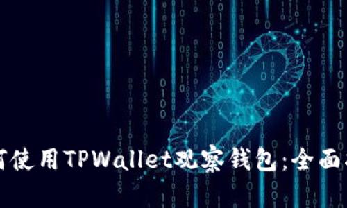 如何使用TPWallet观察钱包：全面指南