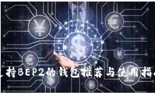 支持BEP2的钱包推荐与使用指南