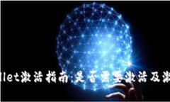 文章 TPWallet激活指南：是