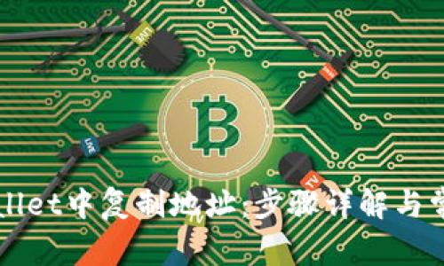 如何在TPWallet中复制地址：步骤详解与常见问题解析
