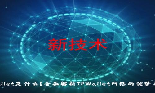 TPWallet是什么？全面解析TPWallet网络的优势与应用