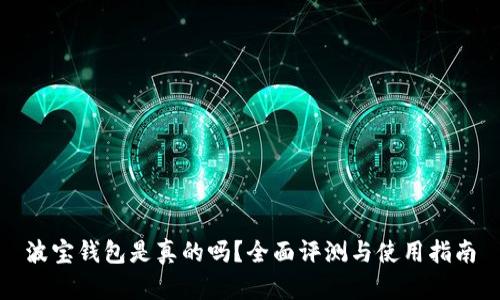 波宝钱包是真的吗？全面评测与使用指南