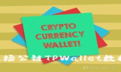 如何查看波场公链TPWalle