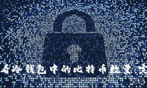 如何查看冷钱包中的比特币数量：完整指南