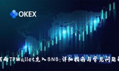 如何向TPWallet充入BNB：详细