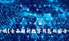 下载数字钱包安全吗？全