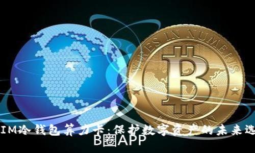 DSIM冷钱包算力卡：保护数字资产的未来选择