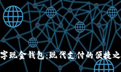 数字现金钱包：现代支付的便捷之选