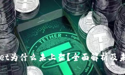 TPWallet为什么未上架？全面解析及未来展望