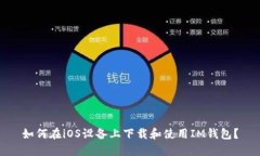 如何在iOS设备上下载和使