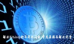 解决Bitdock打不开的问题：