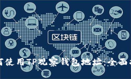 如何使用TP观察钱包地址：全面指南