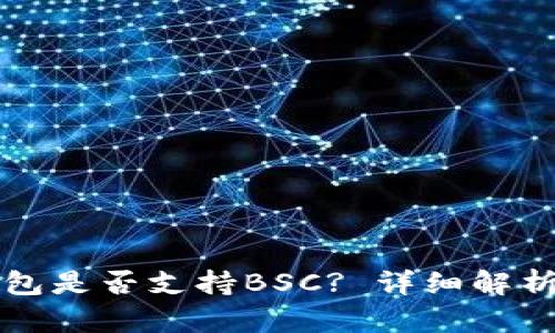 TP桌面版钱包是否支持BSC? 详细解析与使用指南