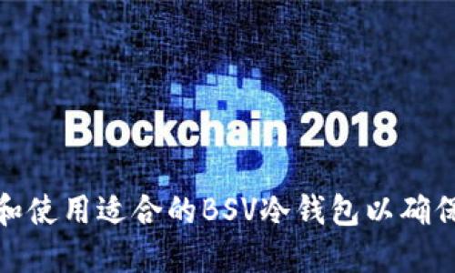 如何选择和使用适合的BSV冷钱包以确保资金安全