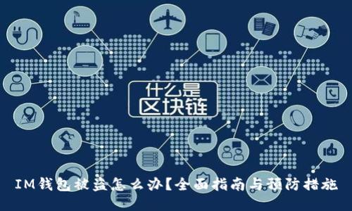 IM钱包被盗怎么办？全面指南与预防措施