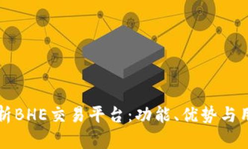 全面解析BHE交易平台：功能、优势与用户指南
