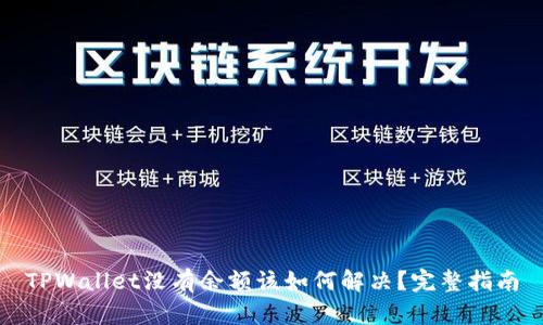 TPWallet没有余额该如何解决？完整指南