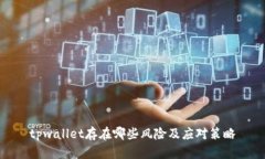 tpwallet存在哪些风险及应对