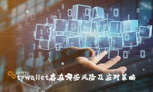 tpwallet存在哪些风险及应对策略