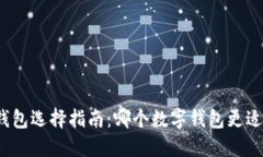数字钱包选择指南：哪个