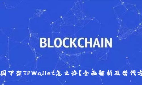 美国下架TPWallet怎么办？全面解析及替代方案