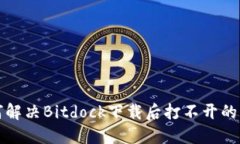 如何解决Bitdock下载后打不