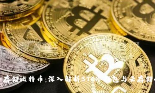 如何安全存储比特币：深入解析BTC冷钱包与云存储的利与弊