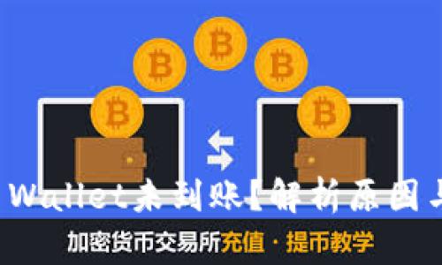 提币到TP Wallet未到账？解析原因与解决方案