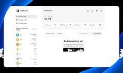 复杂美冷钱包：安全与艺术的完美结合