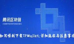 如何顺利下载TPWallet：详细流程与注意事项