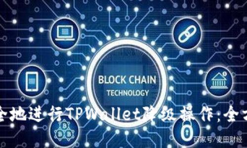 如何安全地进行TPWallet降级操作：全方位指南