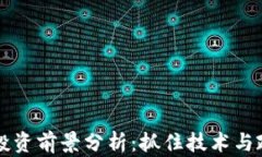 数字货币投资前景分析：抓住技术与政策的风口